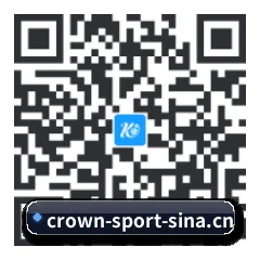 Android 全机型适配版 二维码